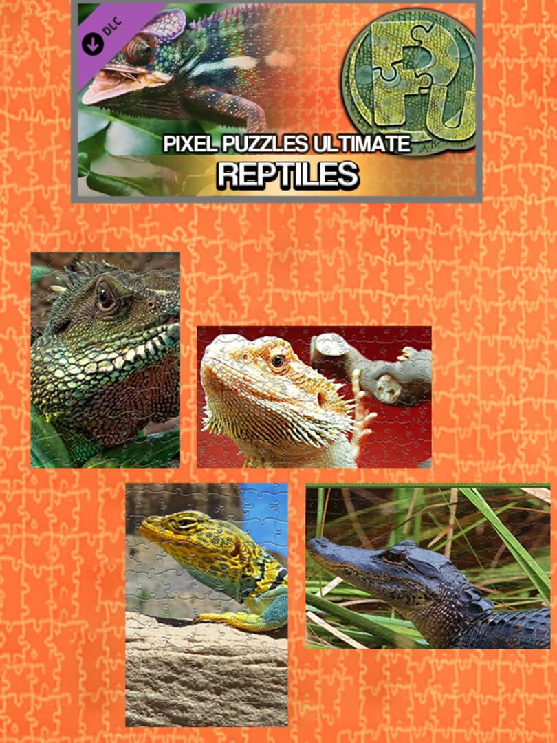 DLC : Pixel Puzzles Ultimate: Reptile