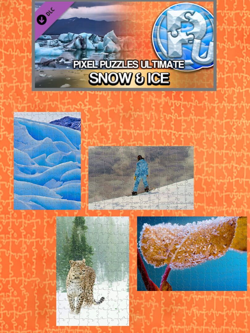 DLC : Pixel Puzzles Ultimate: Snow & Ice