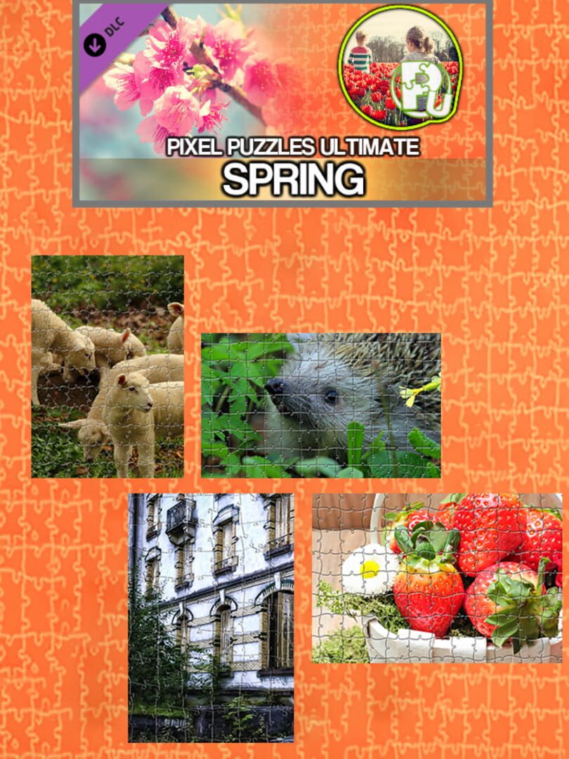 DLC : Pixel Puzzles Ultimate: Spring