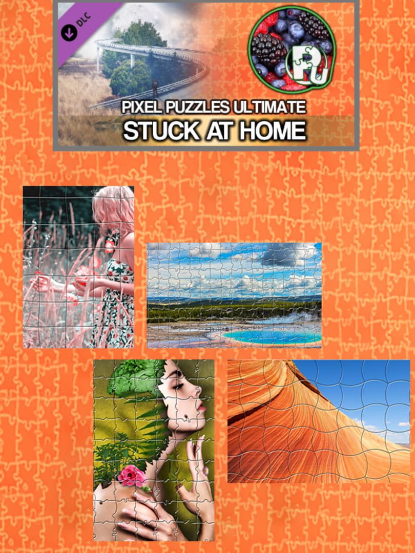 DLC : Pixel Puzzles Ultimate: Stuck At Home