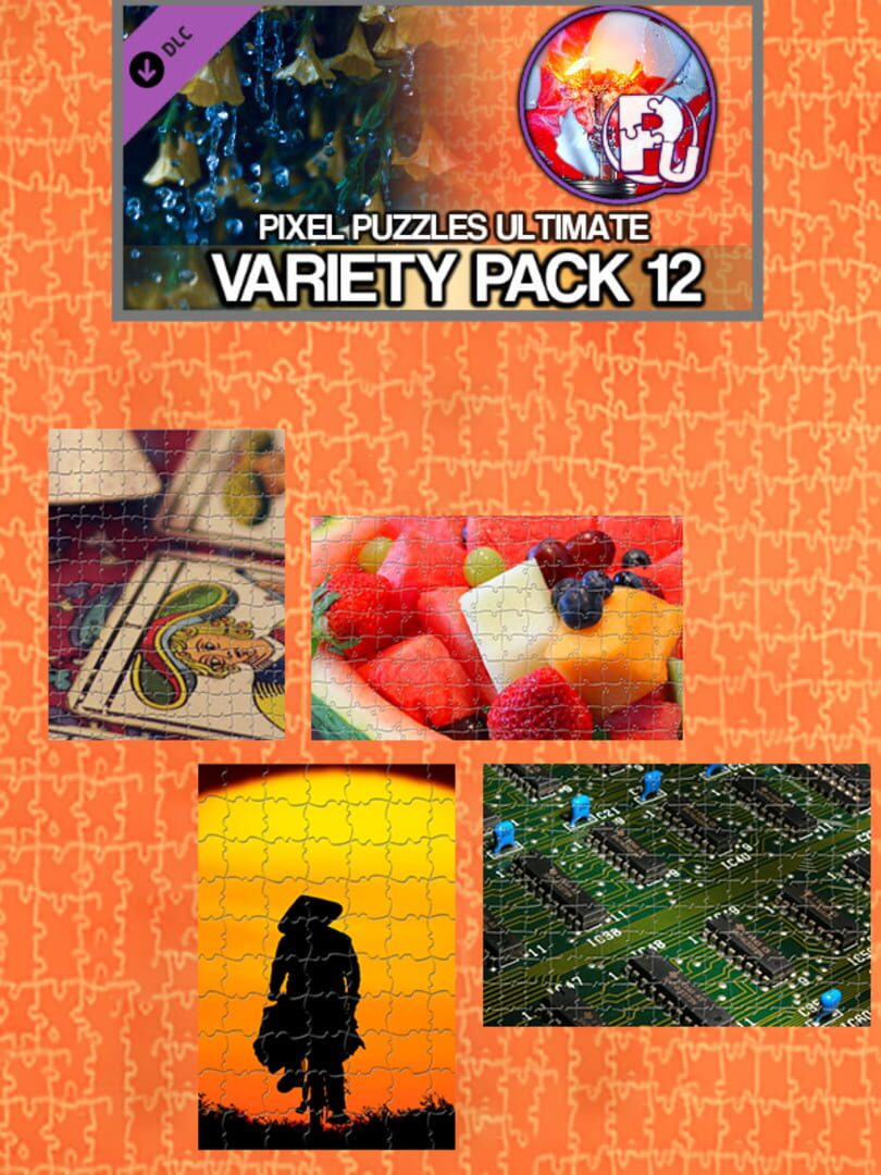 DLC : Pixel Puzzles Ultimate: Variety Pack 12