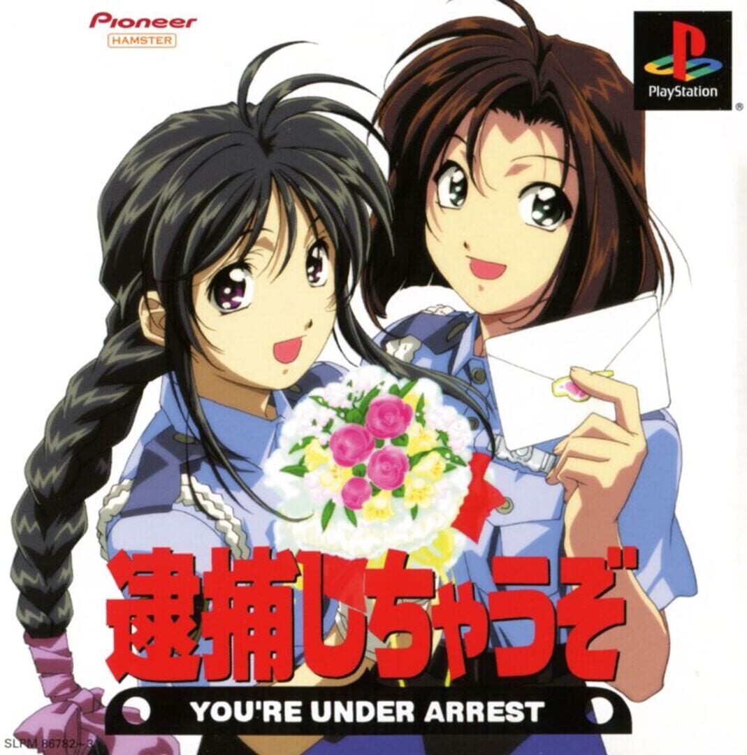 You're Under Arrest (2001)