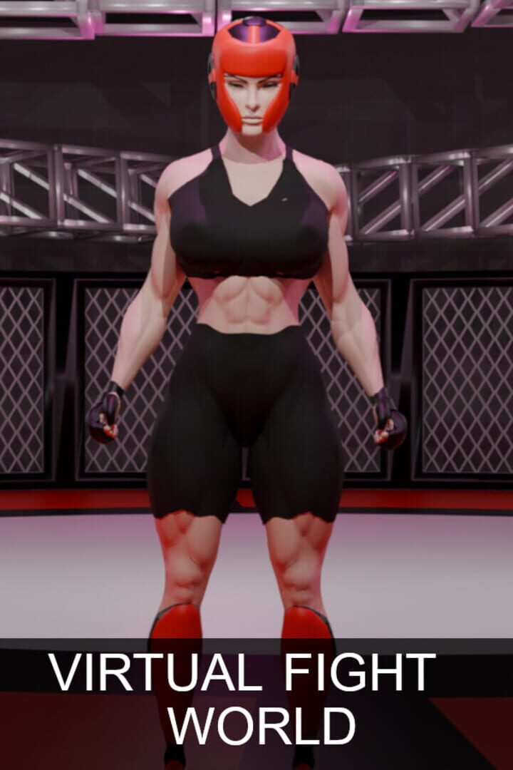 Jeu : Virtual Fight World