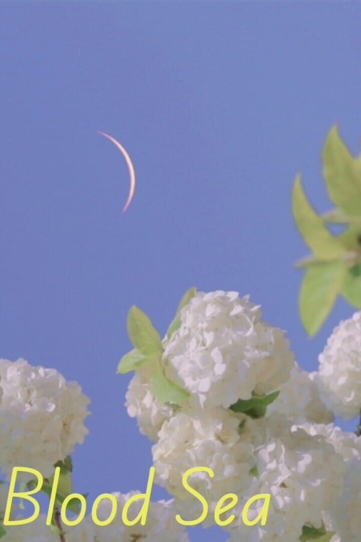 Blood Sea