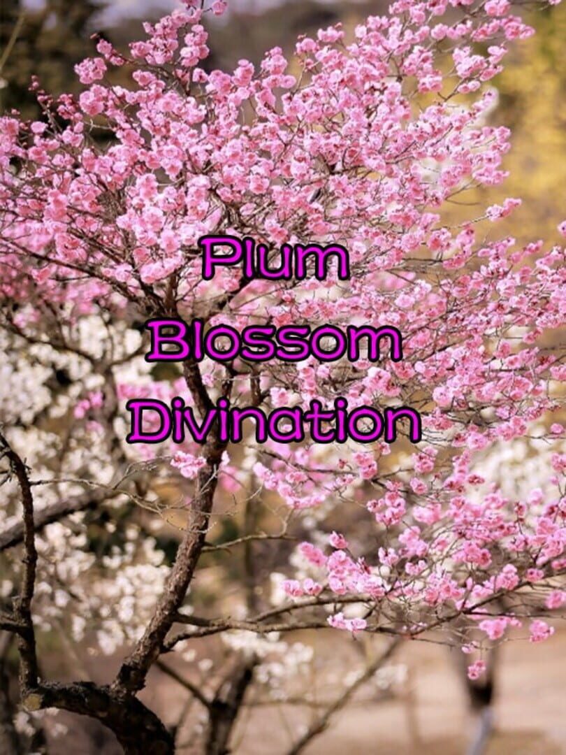 Plum Blossom Divination
