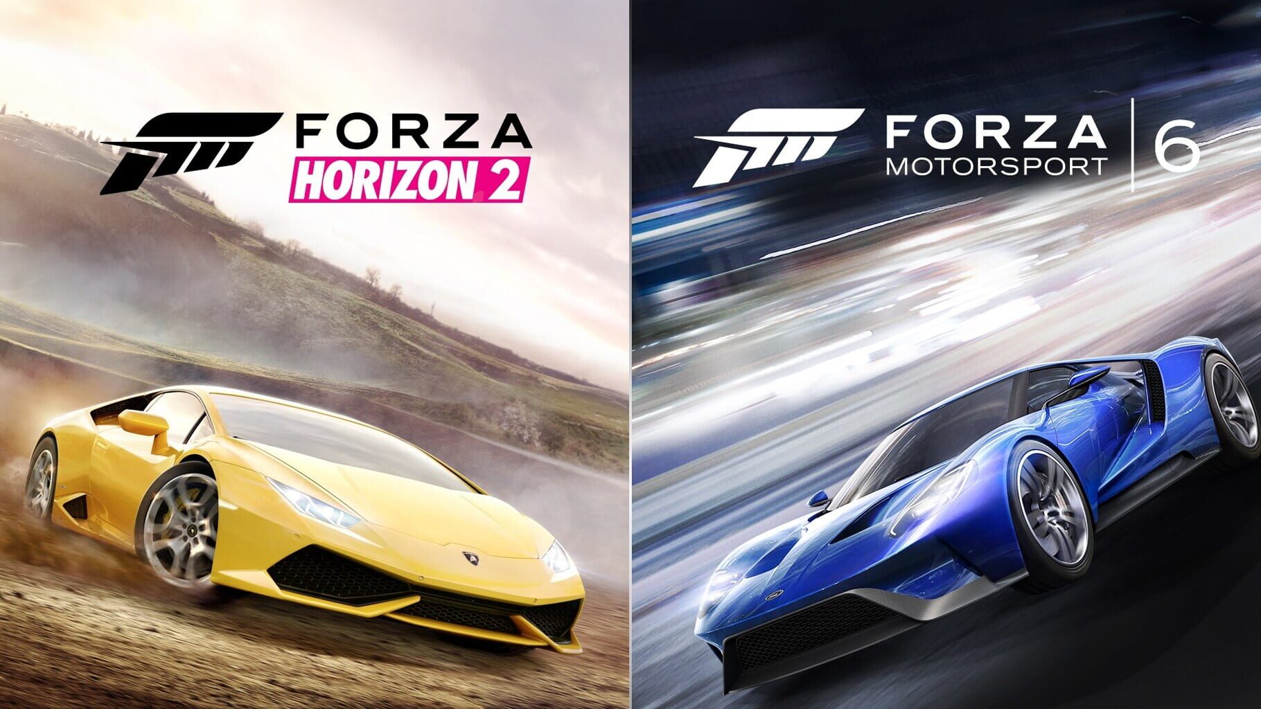 Forza Motorsport 6 and Forza Horizon 2 Bundle cover art