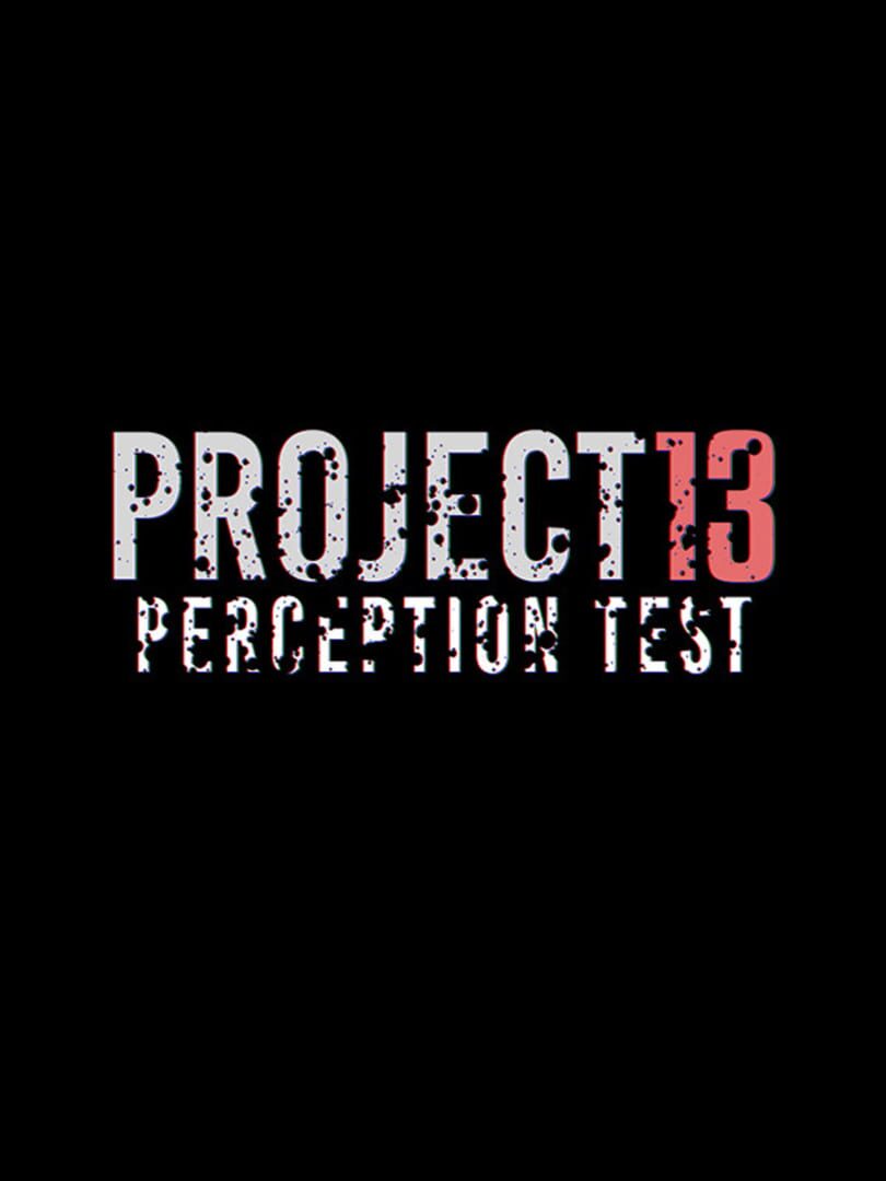 Project 13 Perception Test (2024)