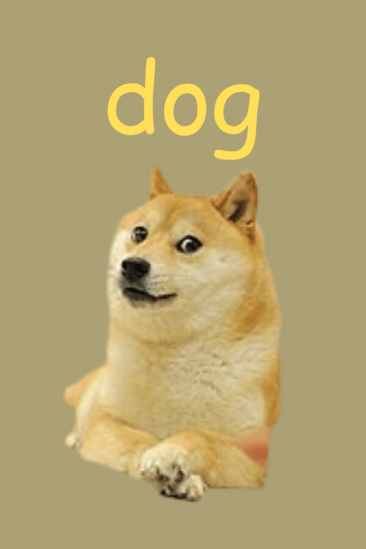 Dog Cover