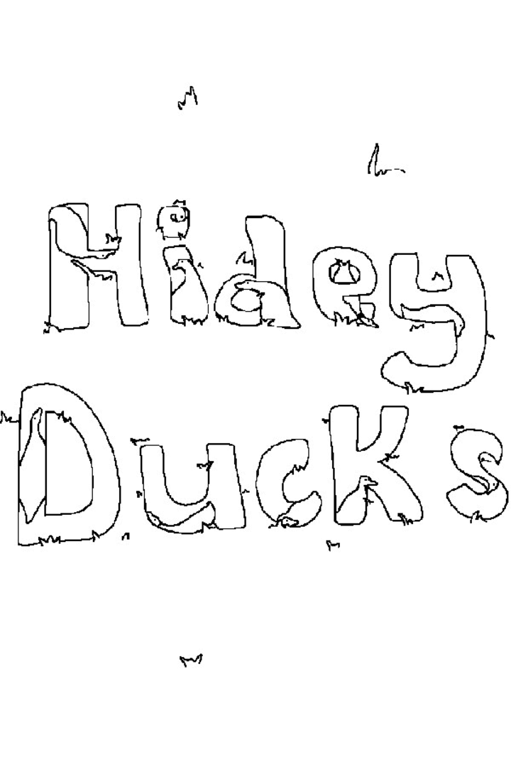 Hidey Ducks: Seasons Cover