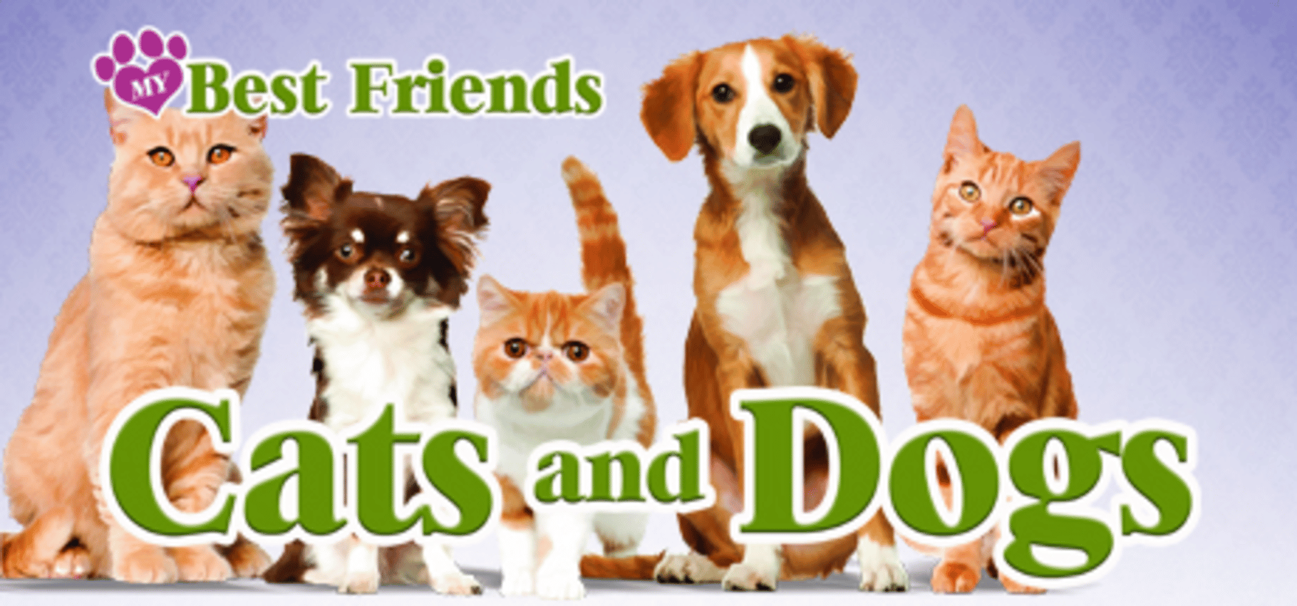 My Best Friends: Cats & Dogs Cover