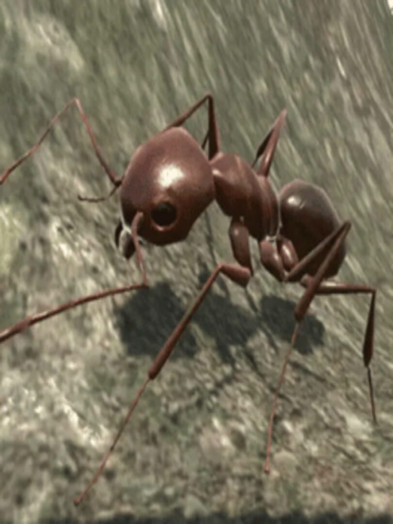 Jeu : Ant Simulator 3D