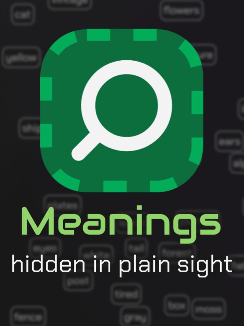 Meanings: Hidden in Plain Sight (2024)