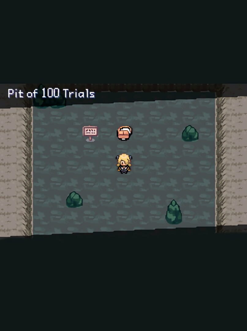 Pokémon: Pit of 100 Trials (2024)