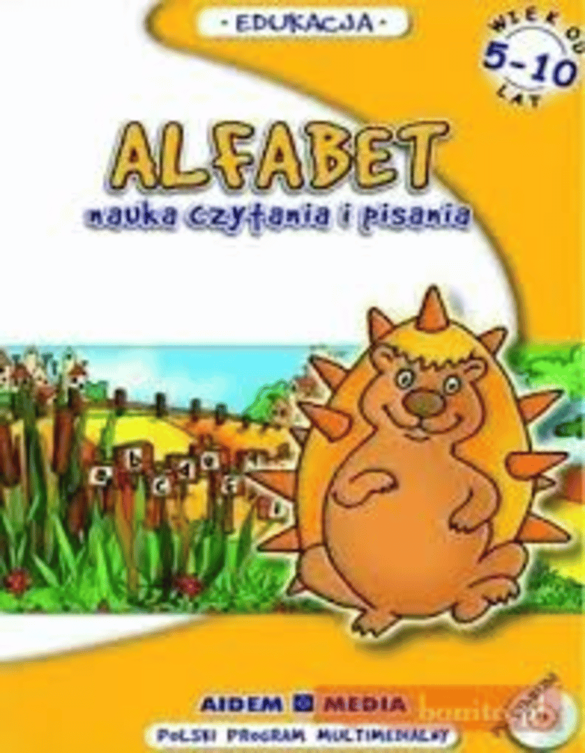 Alfabet Nauka czytania i pisania Cover