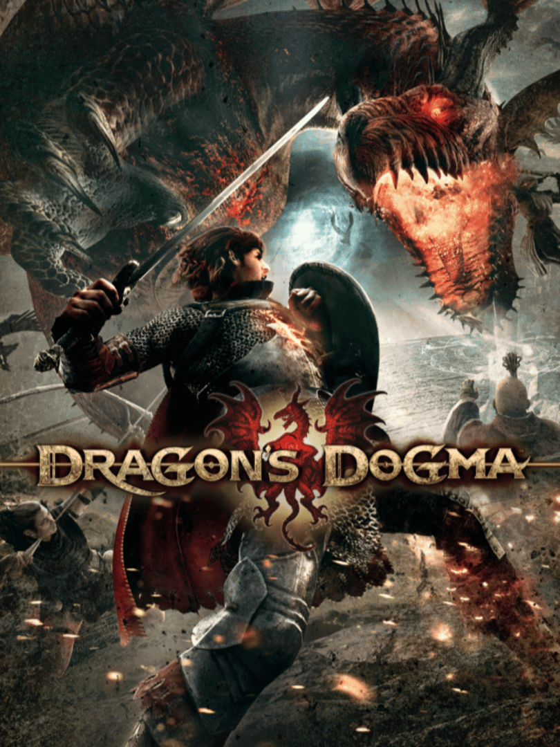 Dragon's Dogma Cover