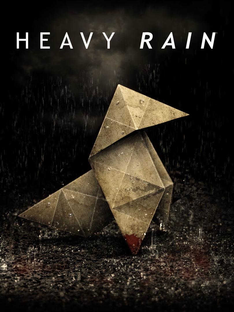 Heavy Rain Cover