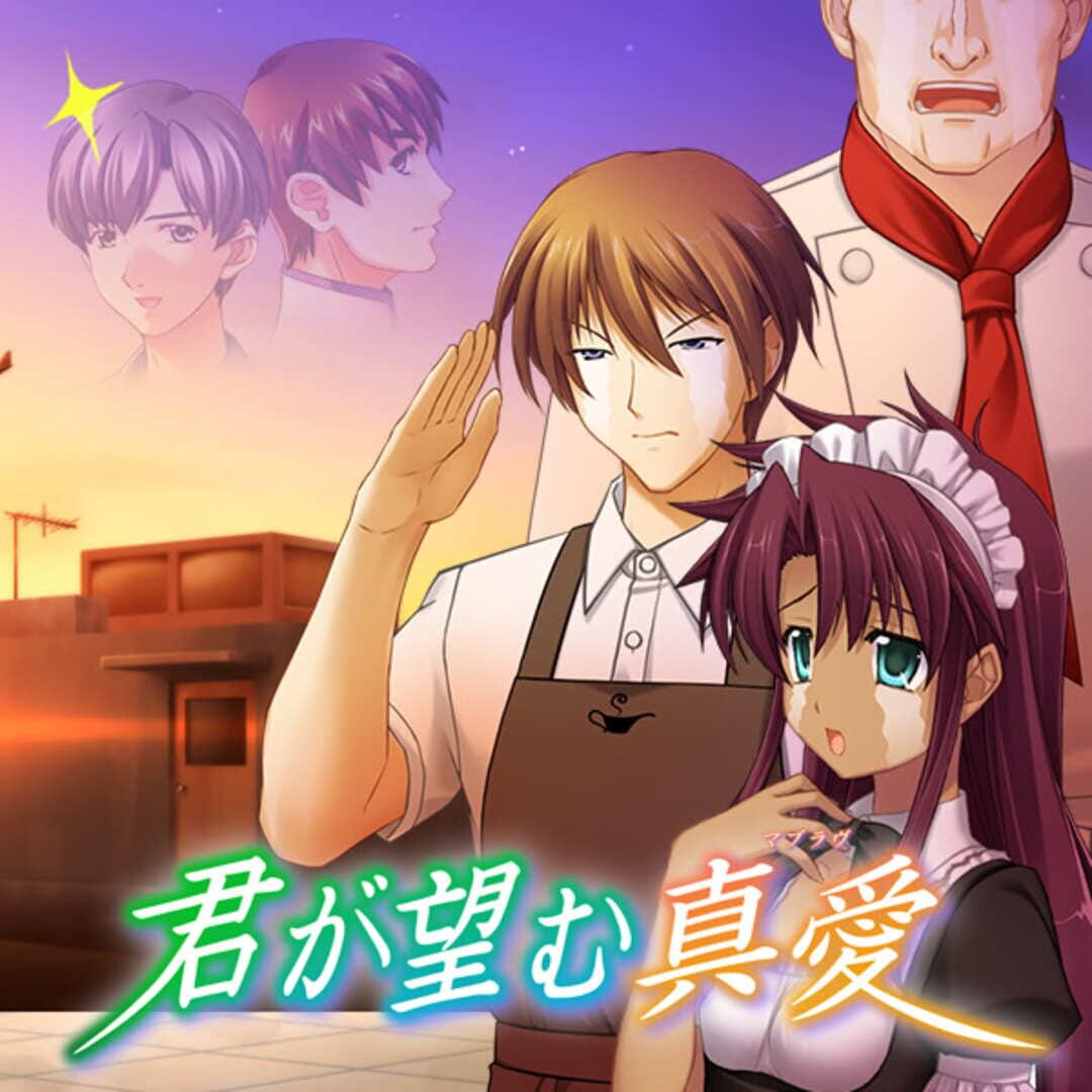 Kimi ga Nozomu Muv-Luv cover art