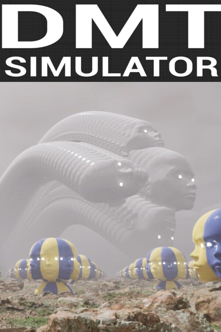 DMT Simulator
