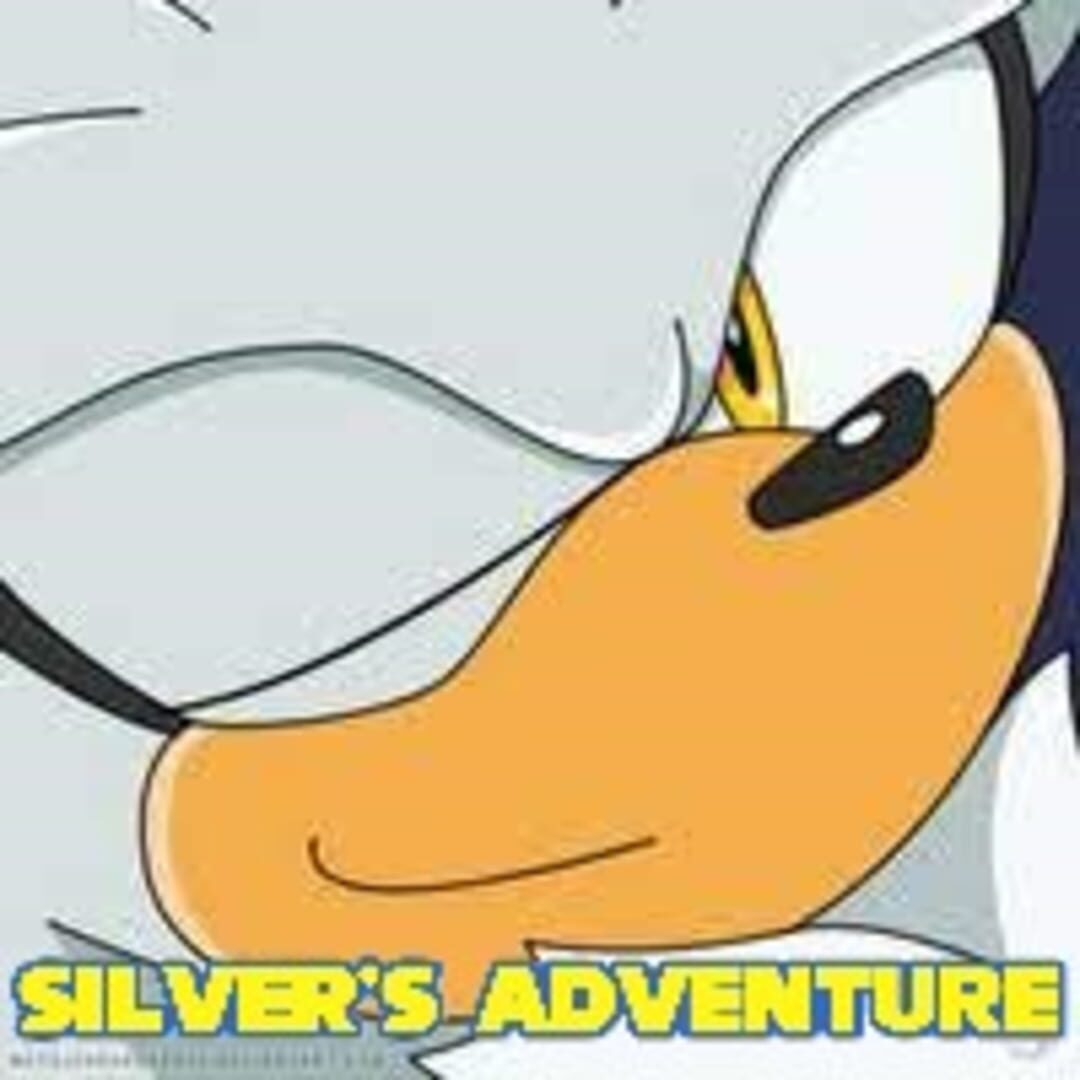 Silver's Adventure (2025)