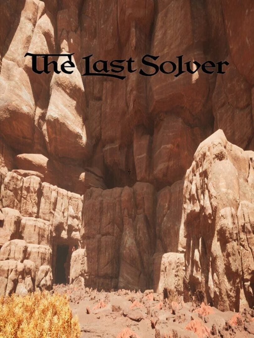 The Last Solver
