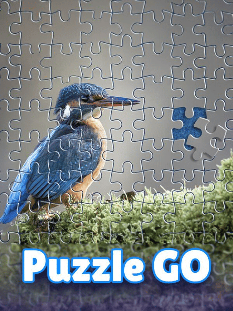 Puzzle Go Cover