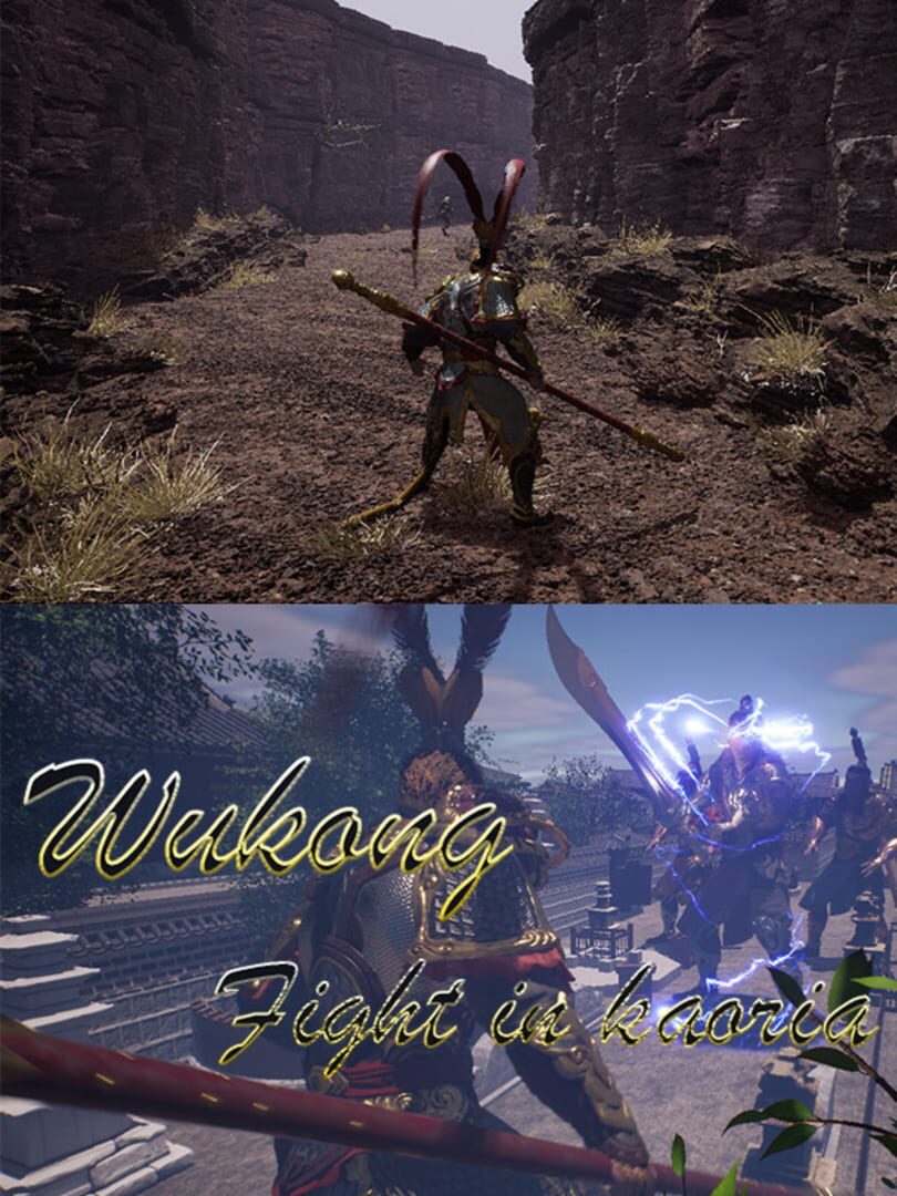 Cover image of Wukong Fight in Kaoria