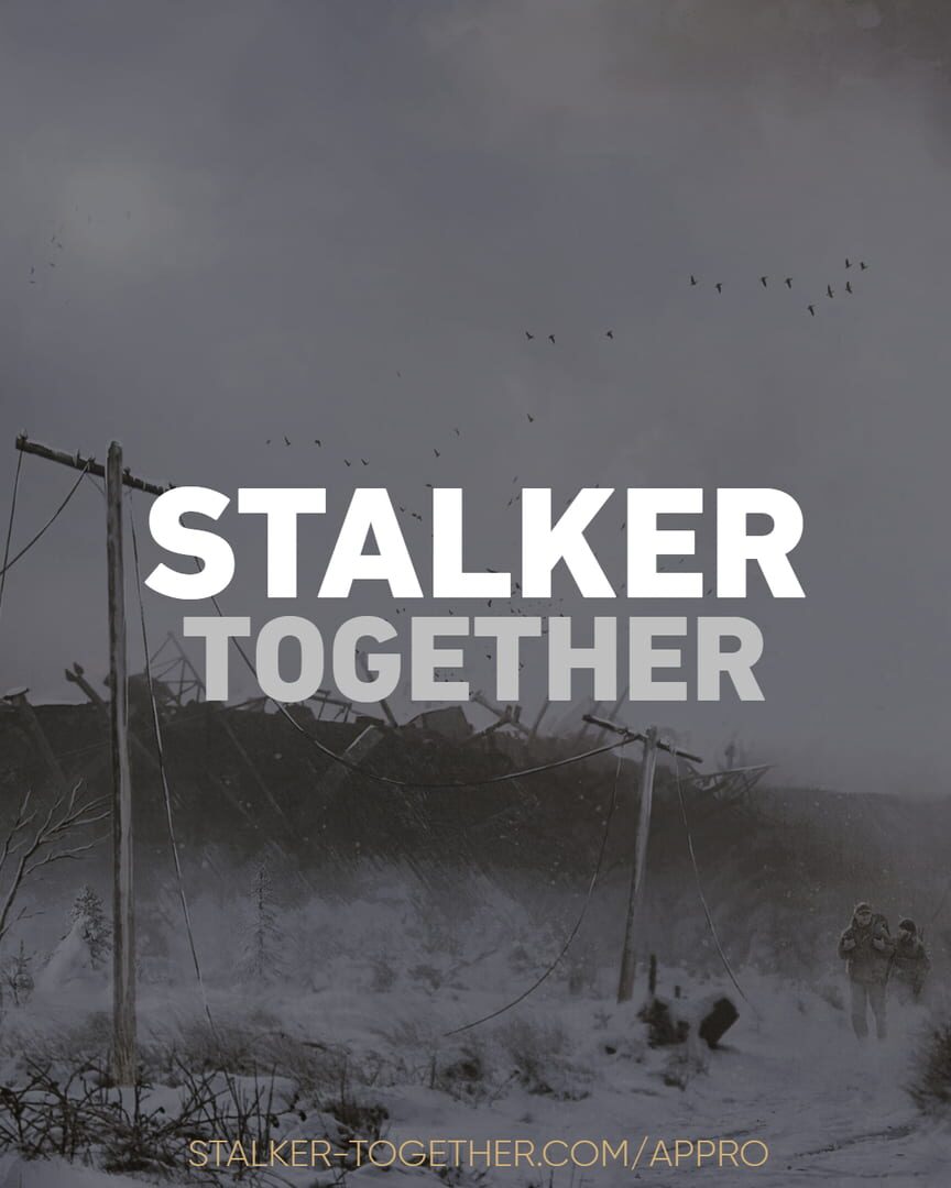 Stalker Together