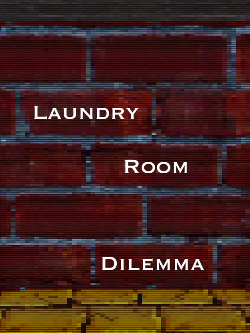 Laundry Room Dilemma