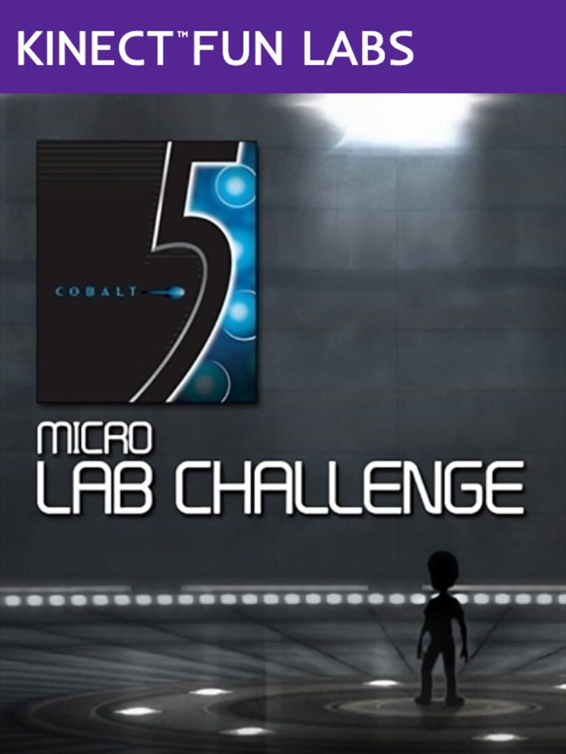 Kinect Fun Labs: 5 Micro Lab Challenge (2012)