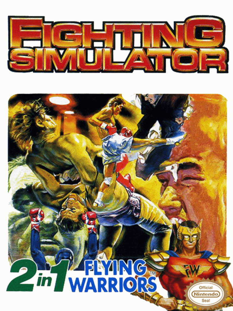 Fighting Simulator: 2 in 1 Flying Warriors Cover