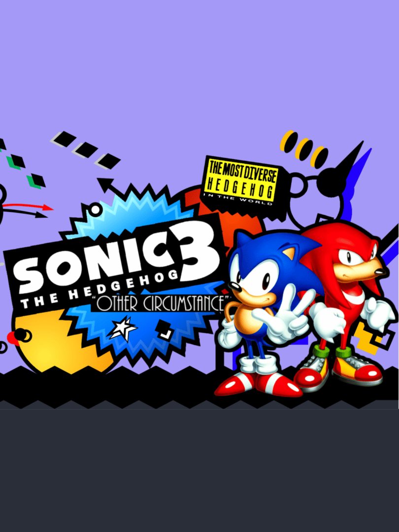 Sonic 3: "Other Circumstance" Cover