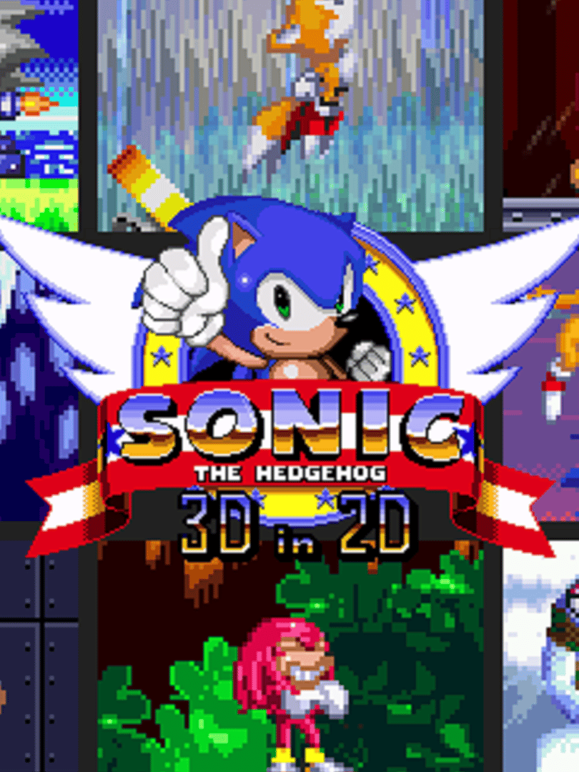 Sonic 3D in 2D Cover