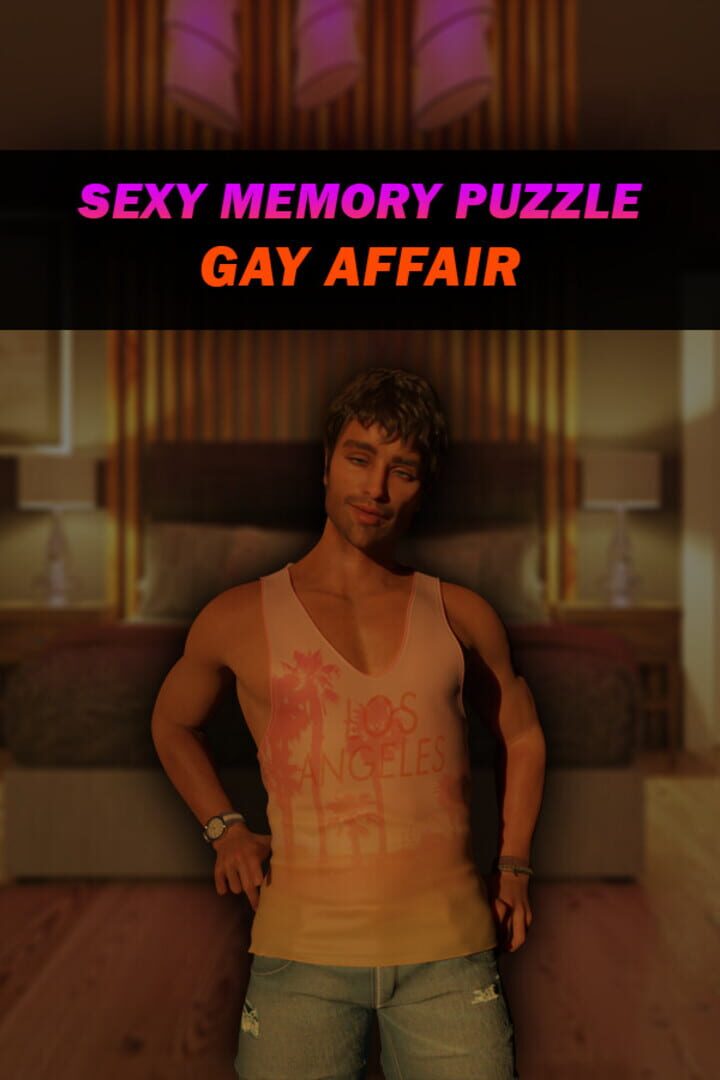 Sexy Memory Puzzle: Gay Affair