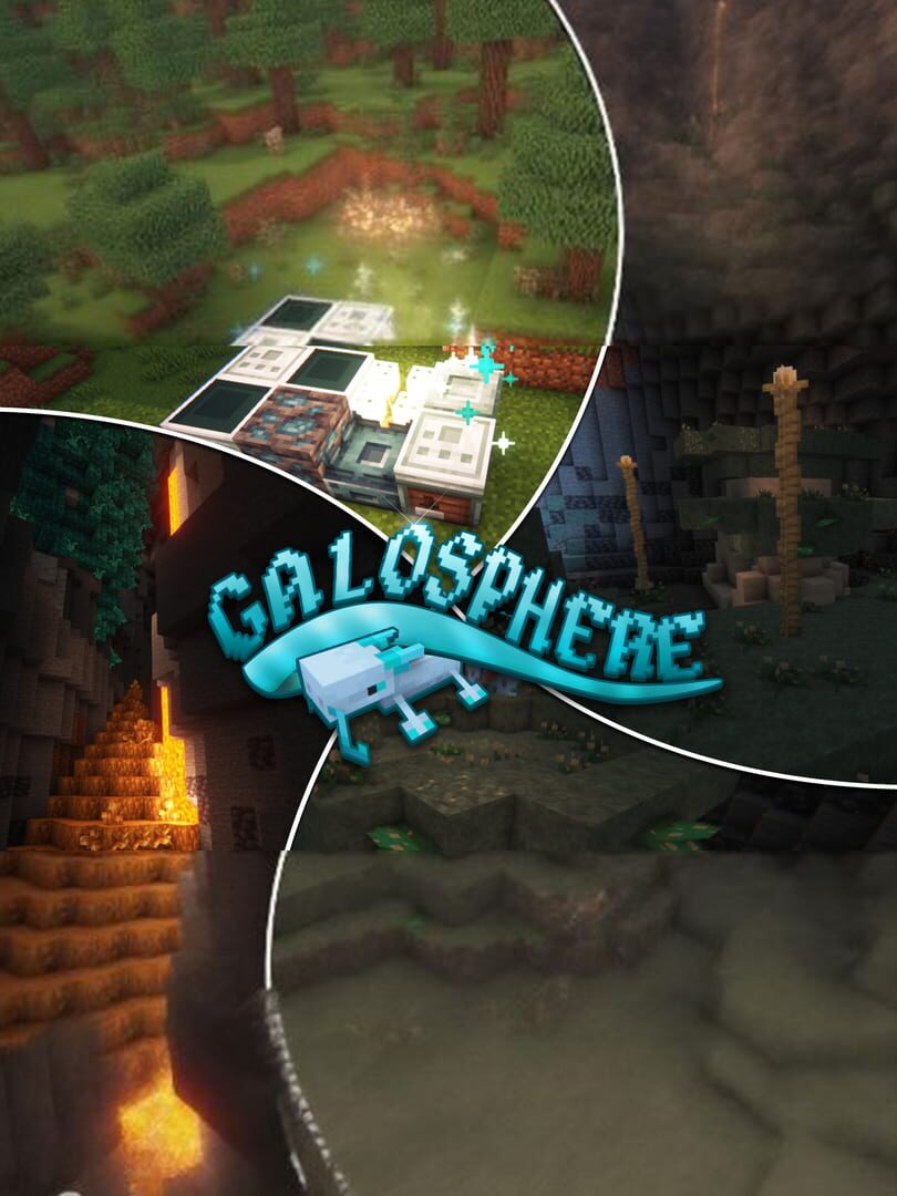 Galosphere