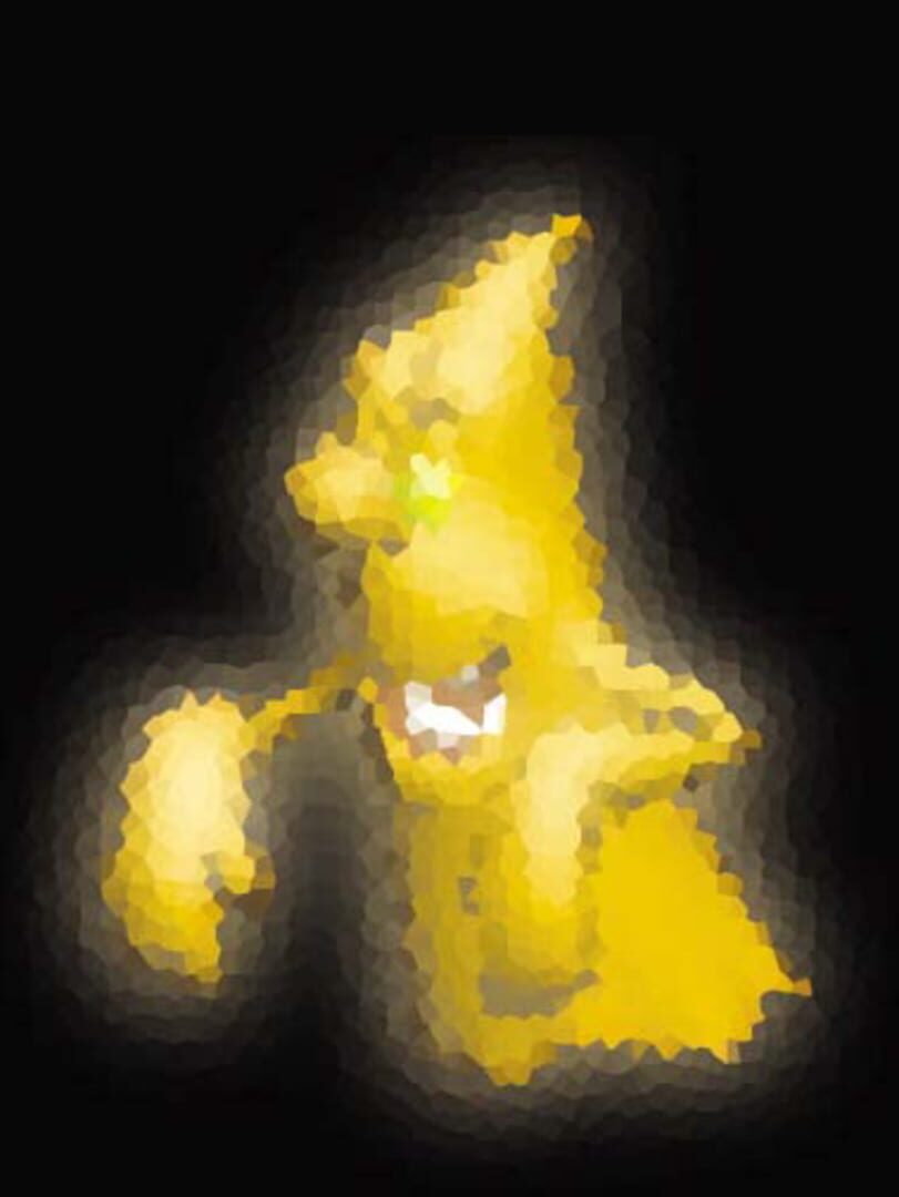 Luigi's Mansion Organ Game