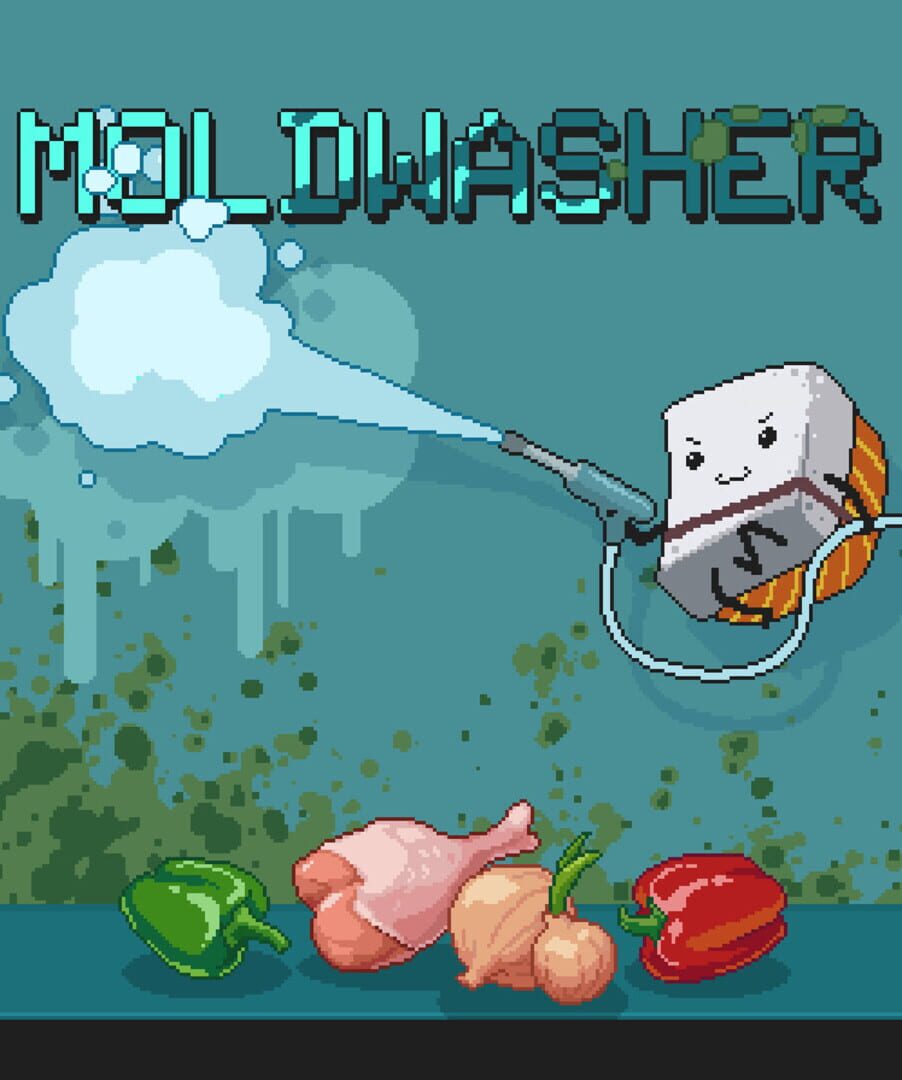 Moldwasher (2026)