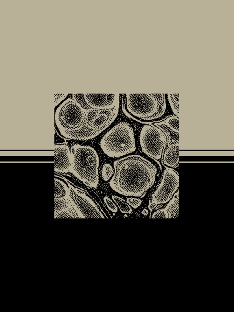 Portrait on Imagined Horizon