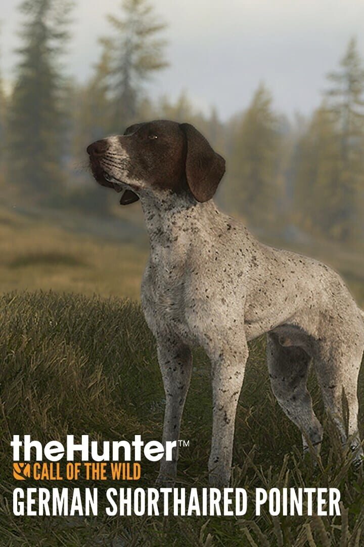 Cover image of TheHunter: Call of the Wild - German Shorthaired Pointer