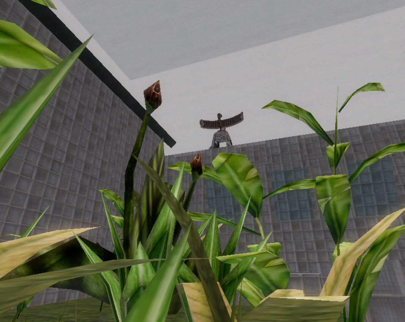 Cloud Storage Botanical Station