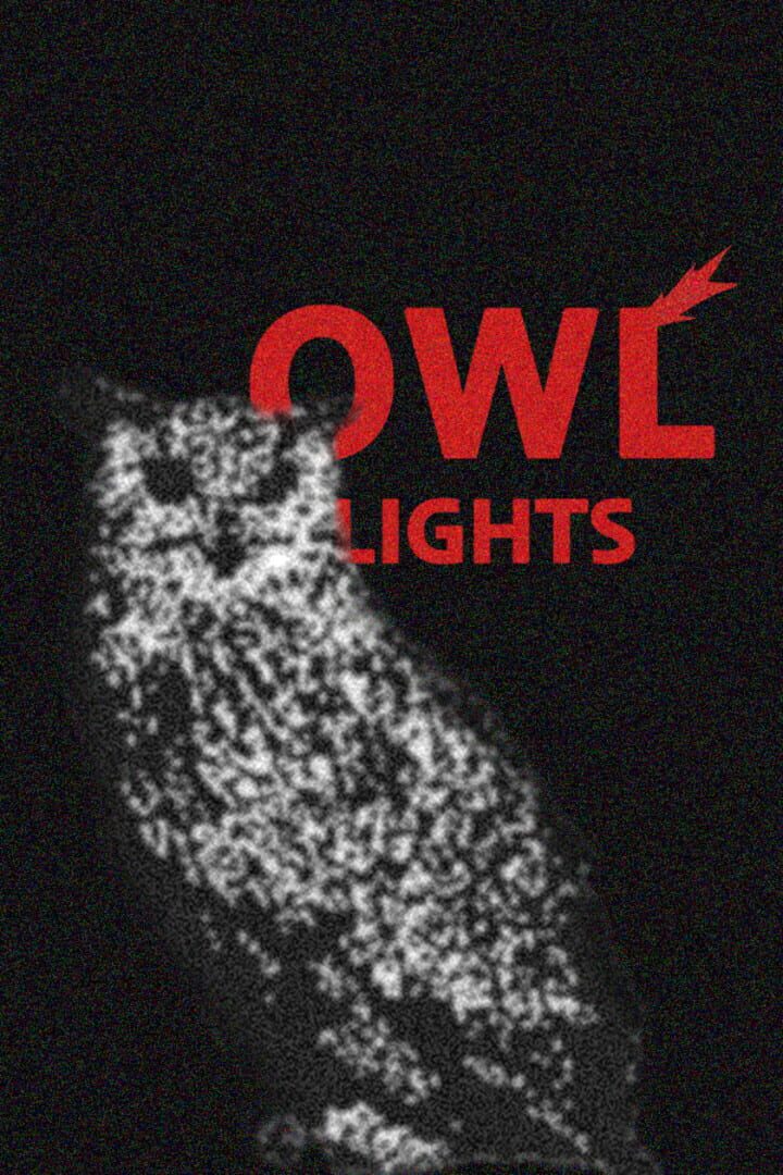 Owl Lights