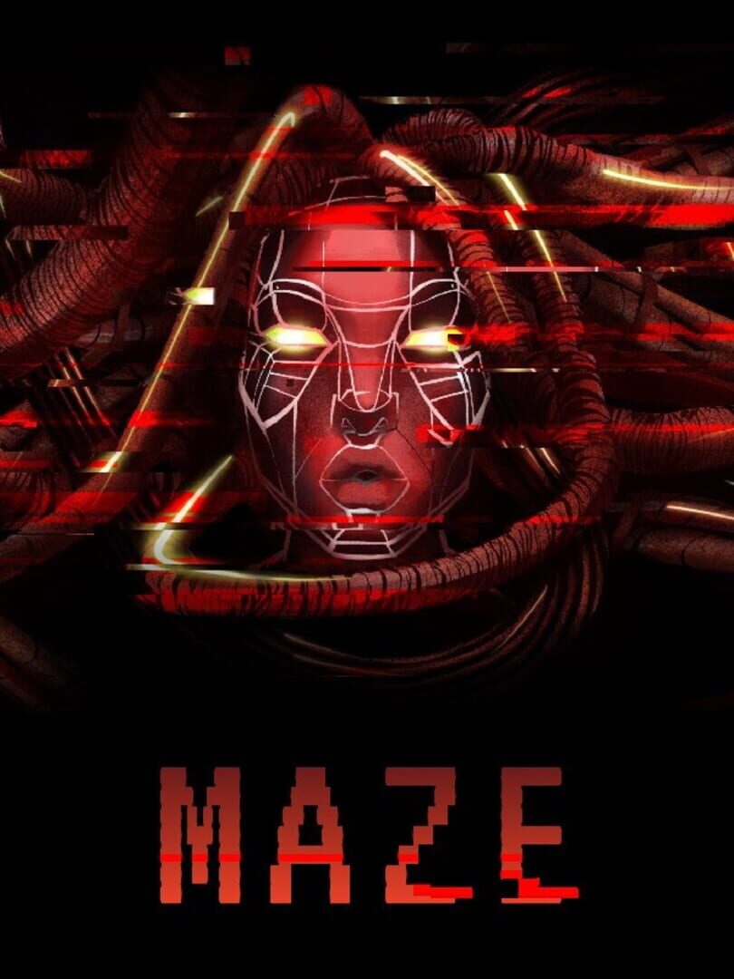 Cover image of Maze