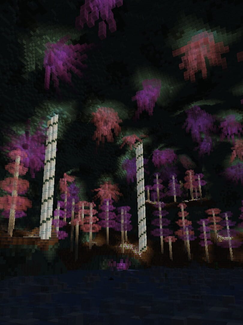 Untold Stories 3: Myriad Caves