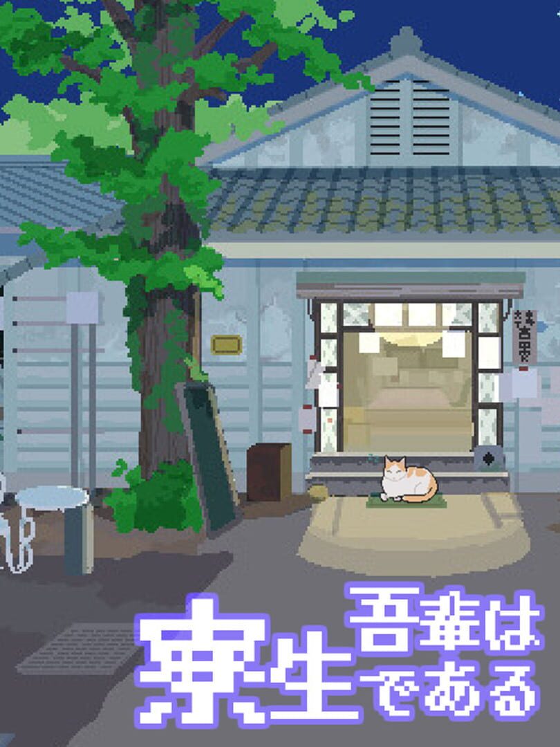 I Am a Dorm Resident (but Cat)