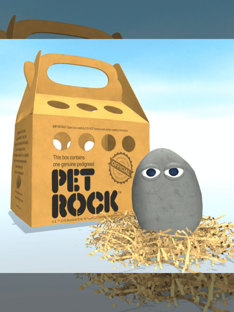 Pet Rock Cover