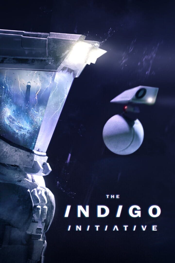 The Indigo Initiative