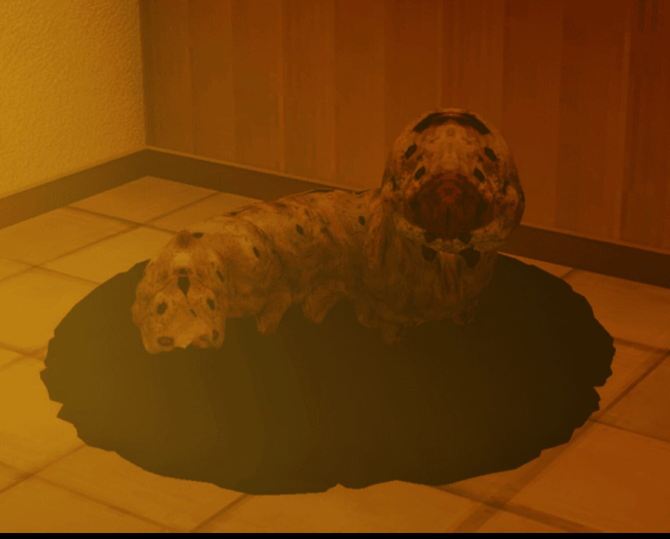 Petsitting