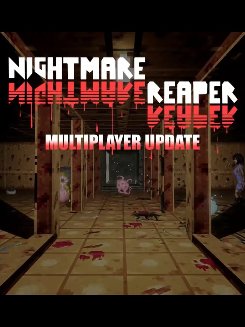 Nightmare Reaper: Multiplayer Update