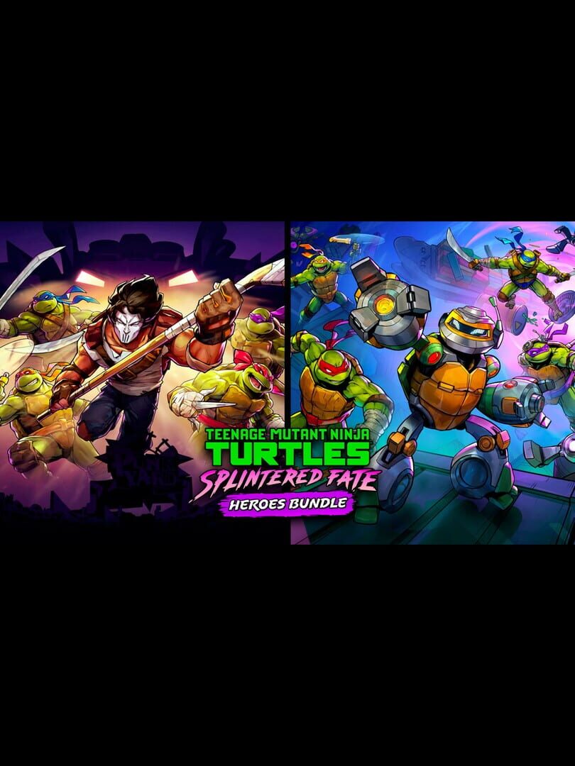 Bundle : TMNT: Splintered Fate Heroes Bundle