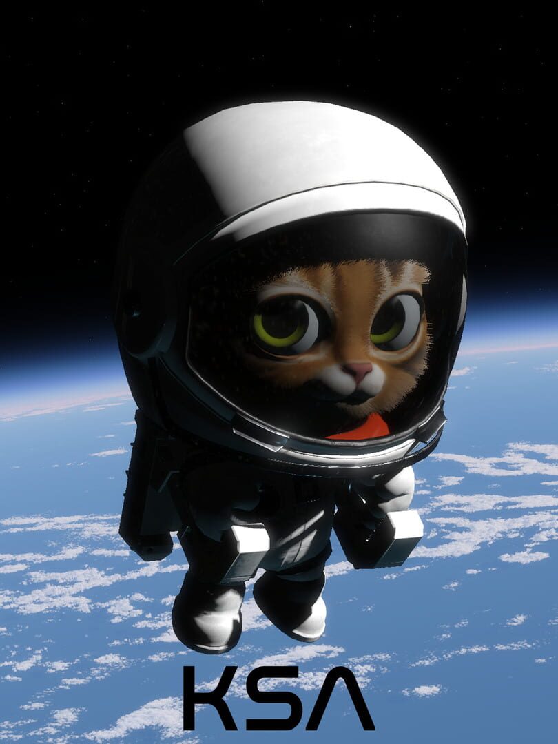 Kitten Space Agency