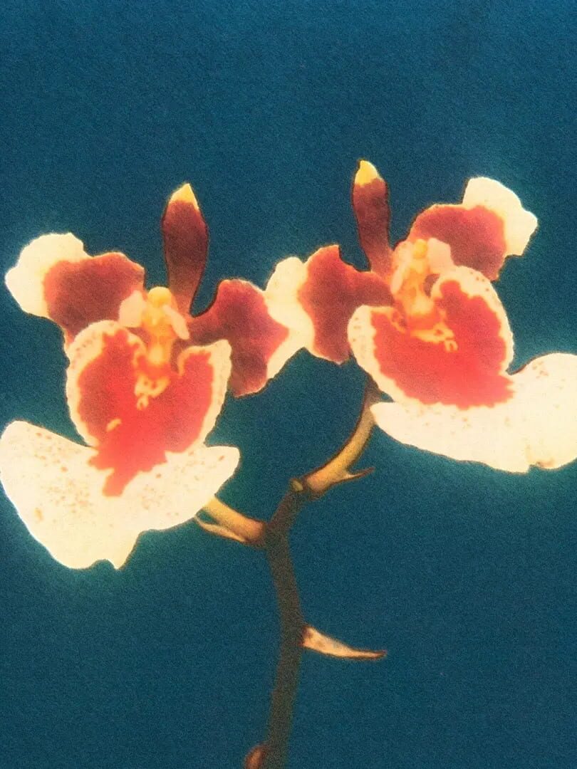 Gravity House Duology